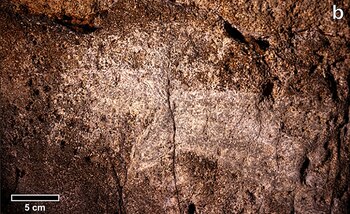 Un viaje en el tiempo,