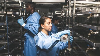 Método “wolbachia”: ¿una bacteria podría