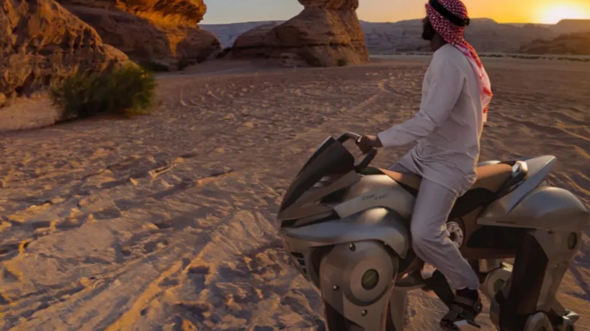 Corleo se dirige principalmente a usuarios principiantes en movilidad robótica. (Kawasaki)