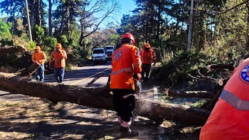Vientos extremos y las bajas