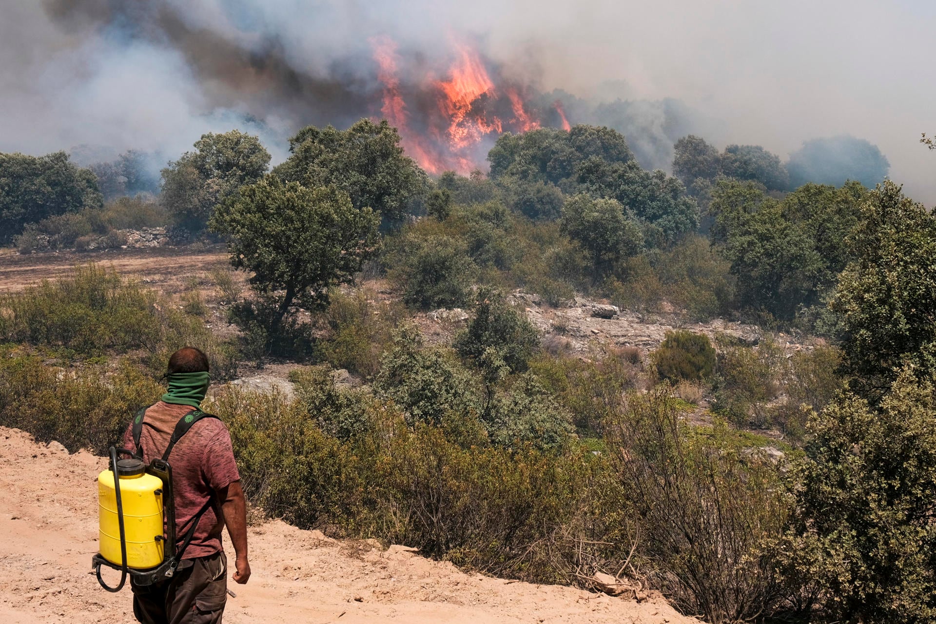El incendio de La Mierla (Guadalajara) se acerca a Castilla y León e incrementa la amenaza en la comunidad junto con los de Brieva y Monsagro