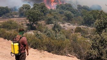 El incendio de La Mierla (Guadalajara) se acerca a Castilla y León e incrementa la amenaza en la comunidad junto con los de Brieva y Monsagro