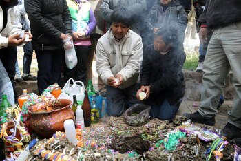 El programa ofrece a los