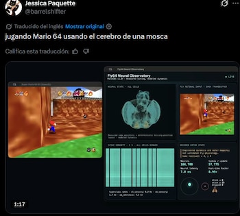 El cerebro digital de una mosca fue usada para jugar Mario 64.