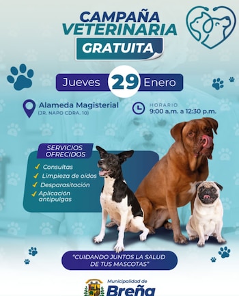 Esta iniciativa fomenta la tenencia