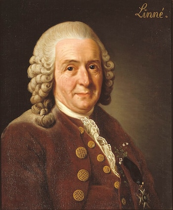 Carl Linnaeus revolucionó la biología