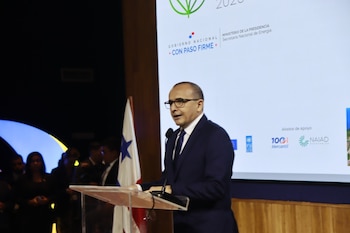 El secretario nacional de Energía,