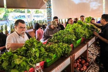 Para este día, los agromercados del país han extendido su horario de atención hasta las 5:00 de la tarde./(MAG)