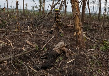 El cuerpo de un soldado
