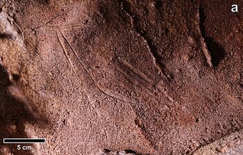 Pinturas y grabados de 24.000