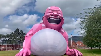 Un bebe rosa gigante generó