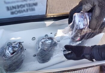 Los elementos de la GN,