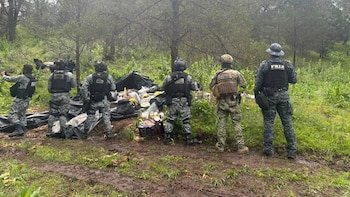 Desmantelan campamento de presunto grupo criminal en Zacatecas: aseguran droga, cartuchos y una camioneta