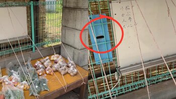 Migrante se mostró sorprendido con