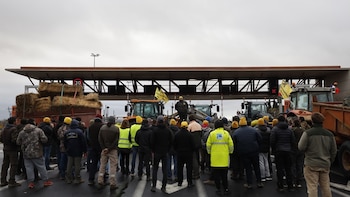 Ganaderos y agricultores se preparan