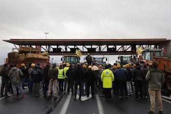 Protesta de agricultores y ganaderos