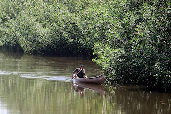 Mujeres lideran la restauración y protección de una zona manglar en El Salvador