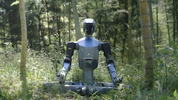 Secuencias inspiradas en el tai