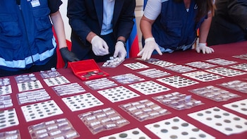 La investigación sobre la colección