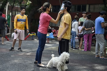 Los perros con entrenamiento especializado,