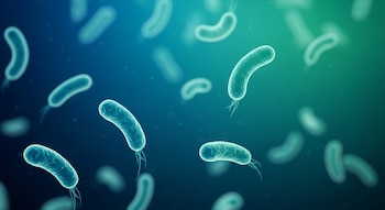 Representación científica hiperrealista de múltiples bacterias Vibrio vulnificus con forma curva, flotando en un entorno acuático marino azul verdoso.