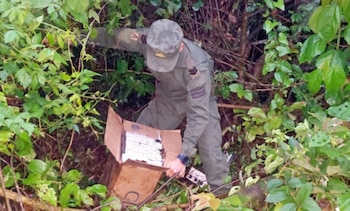 Participaron del procedimiento agentes de