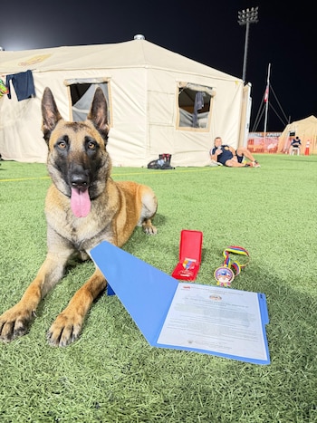 Los perros rescatistas colombianos ayudaron a localizar señales de vida junto a sus guías y equipos especializados- crédito Ungrd