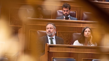 Gobierno y PP descalifican la enmienda de totalidad de Vox contra la ley de violencia vicaria