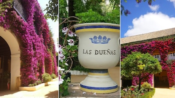 Uno de los jardines secretos más bonitos de Sevilla está en el Palacio de Dueñas: un lugar custodiado por la Casa de Alba y recorrido por Antonio Machado