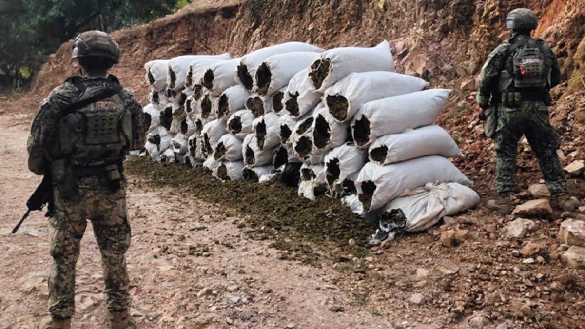 Un operativo en Sinaloa deja 12 detenidos y más de una tonelada de marihuana
