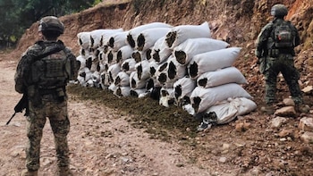 Operativo en Sinaloa: detienen a 12 y aseguran armas, granadas y más de 1.3 toneladas de marihuana