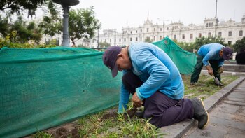 Destruyeron aproximadamente 150 metros de