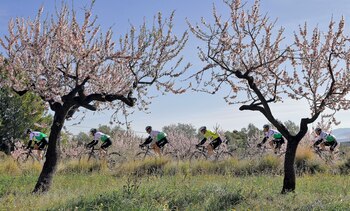 (Imagen de referencia) EFE/Manuel