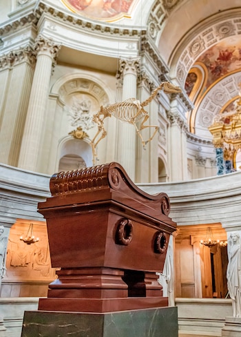 El esqueleto del caballo preferido