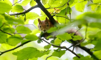 EFE/EPA/MAXIM SHIPENKOV/Archivo