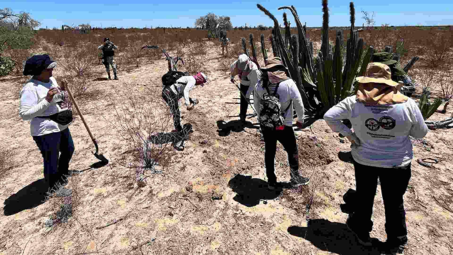 Grupos de buscadores de personas desaparecidas de Sinaloa declinaron una reunión con la gobernadora Graciela Domínguez.Crédito: Daniel Sánchez / EFE