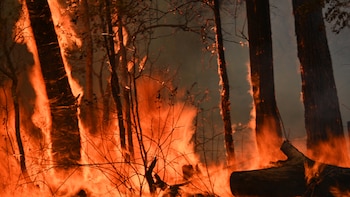 Al menos cuatro personas murieron