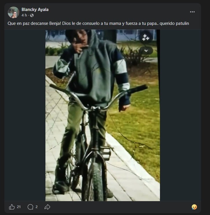 El menor circulaba en bicicleta junto a un grupo de amigos por la zona de la colectora cuando ingresó a la traza de la Autopista Panamericana