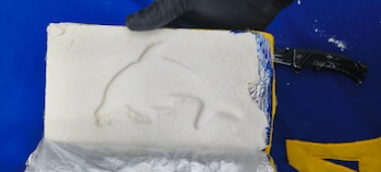 Autoridades incautan un importante cargamento