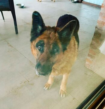 “Un ser encantador, noble y