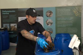 Jonathan Behm nació en una familia de pescadores. Abandonó ese oficio para trabajar en una mina de oro y plata y volvió al mar de la mano del cultivo de algas. Foto: Ailín Peirone / Fundación Por El Mar