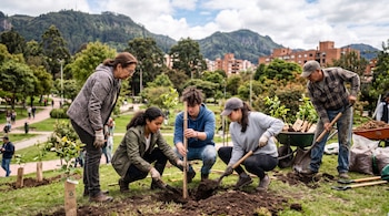 Cinco personas con palas siembran un árbol en el césped de un parque público con edificios y colinas al fondo.