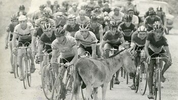 Imagen 5XOPAZPFQVF6PDZQWSTD4ABSWM