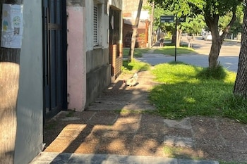 Vecinos evalúan construir un gallinero