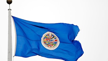 La OEA pide la renovación y el "despliegue completo" de la Fuerza de Supresión de Pandillas en Haití