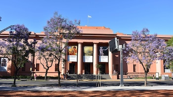 El Bellas Artes anunció los