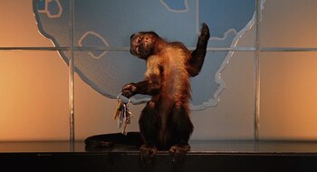 Dexter, el mono de 'Noche