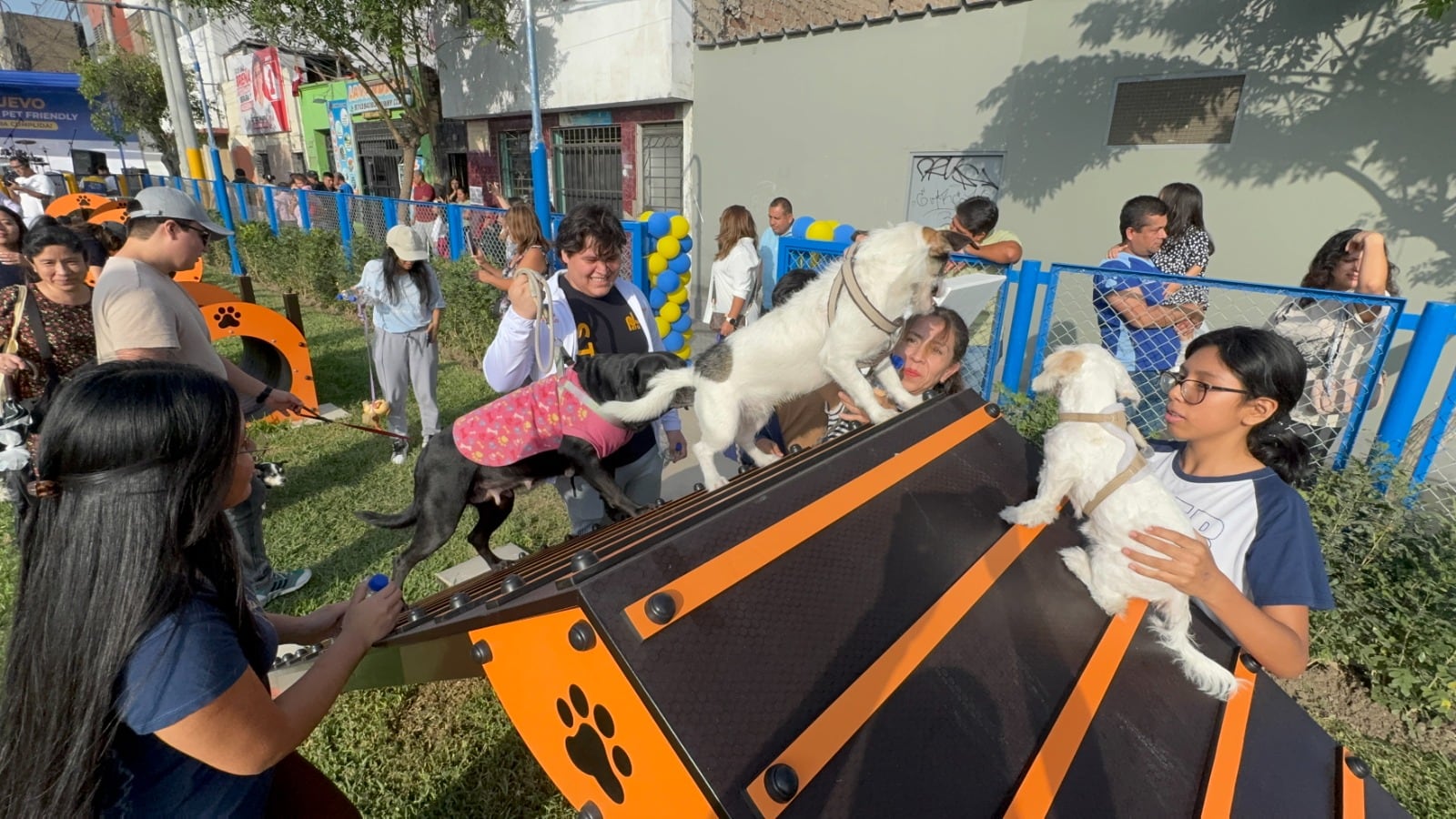 Cuenta con circuito de agilidad, túneles, aros y vallas de salto para las mascotas. Difusión