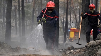 El bosque de Fontainebleau necesitará 30 años para recuperarse tras los incendios que arrasaron más de 2.000 hectáreas