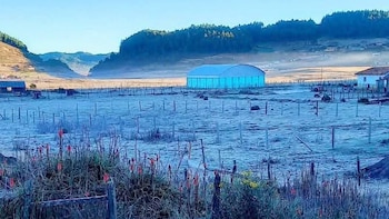 Diversas regiones de Centroamérica experimentaron